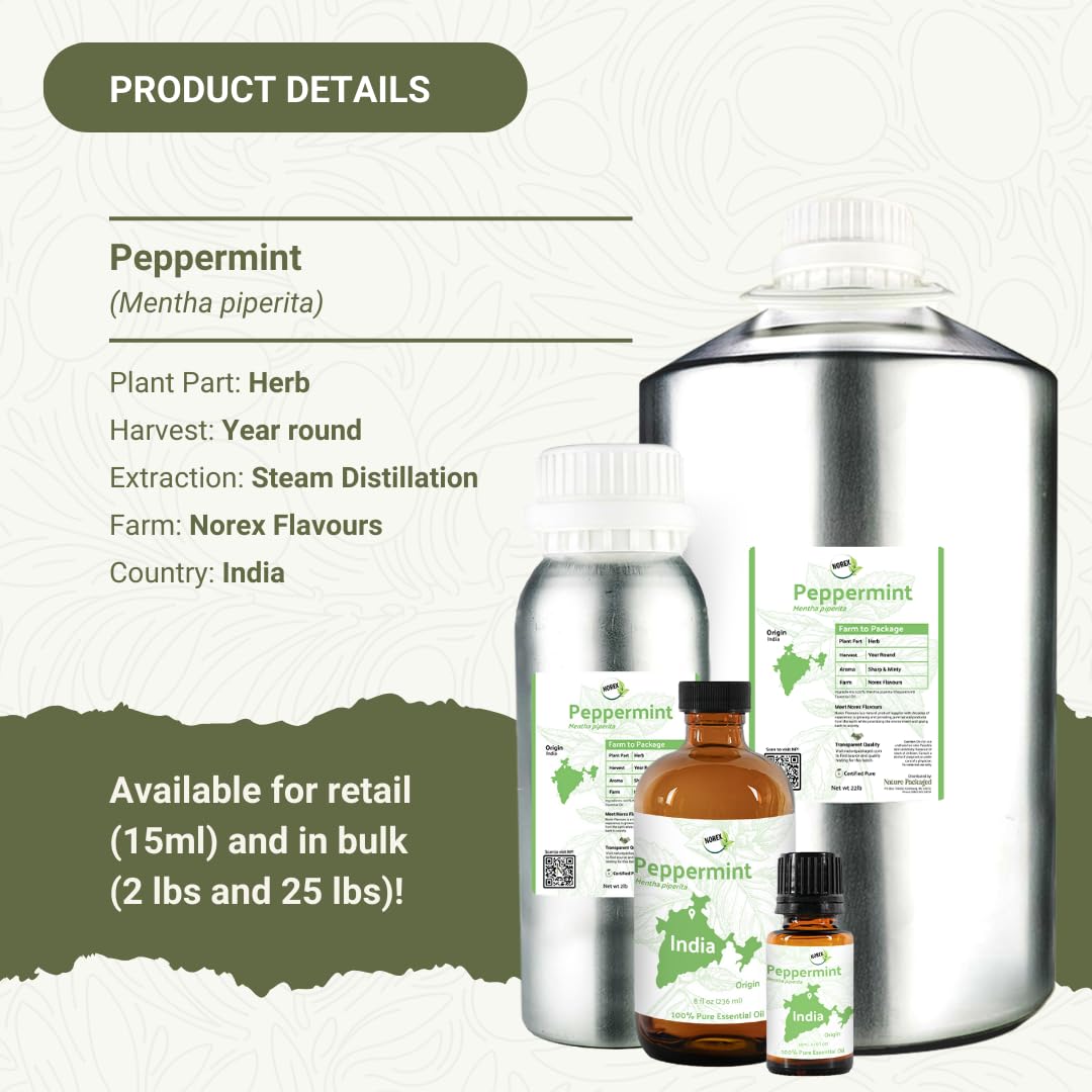 Nature Packaged Aceite esencial de menta cuidado de la piel con portador