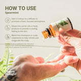 Nature Packaged Menta Verde: destilación al vapor para alta pureza.