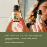 Nature Packaged Menta Verde: adecuado para masajes y mezclas de cuidado personal.