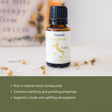 Nature Packaged Bergamota Aceite: notas brillantes que inspiran claridad ambiental.