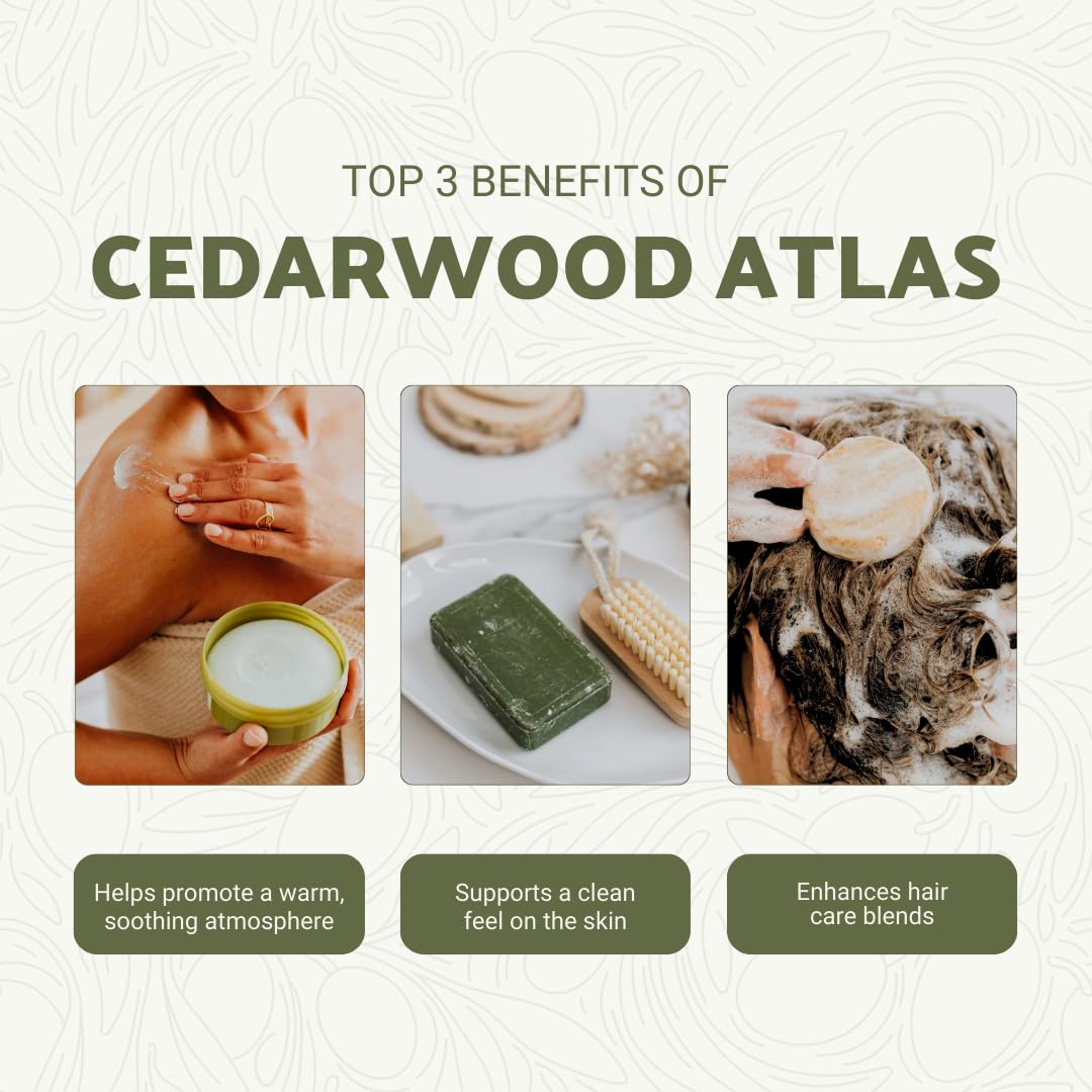 Nature Packaged Cedro Atlas en difusor para aroma calmante.