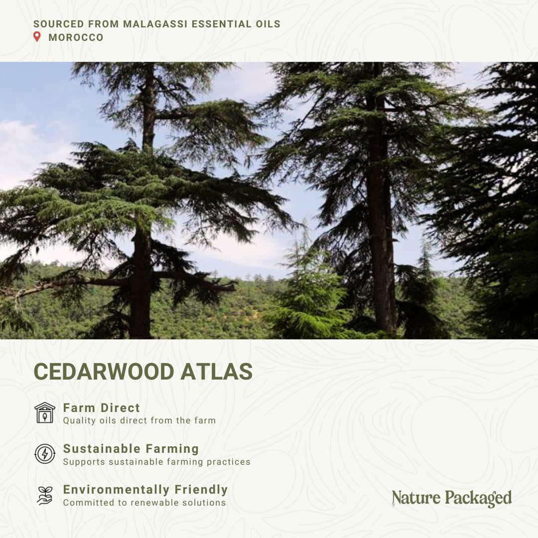 Gota de Nature Packaged Cedro Atlas para uso aromático suave.