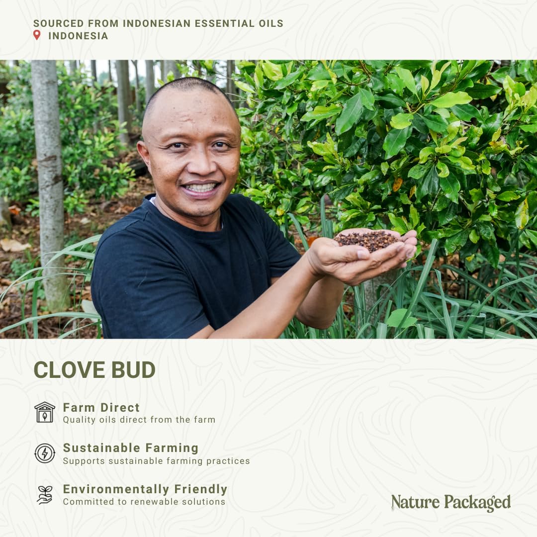 Nature Packaged Clavo Esencial: difusor con fragancia cálida para ambientar