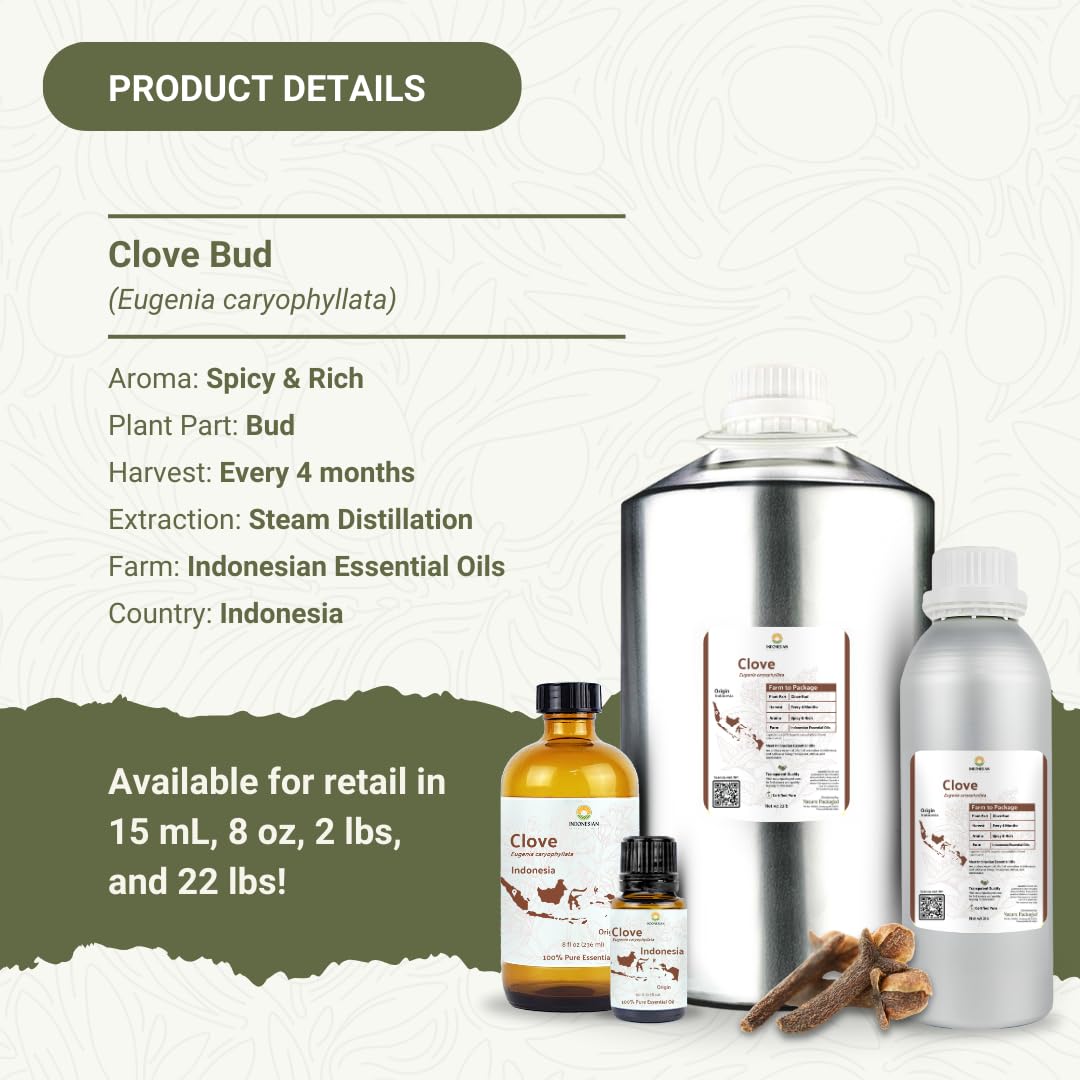 Nature Packaged Clavo Esencial: aroma para hogar y aromaterapia