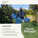 Nature Packaged Difusor aroma Mandarina, crea un ambiente cítrico para bienestar diario.