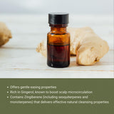 Nature Packaged jengibre aceite aromaterapia mezcla reconfortante para estrés leve