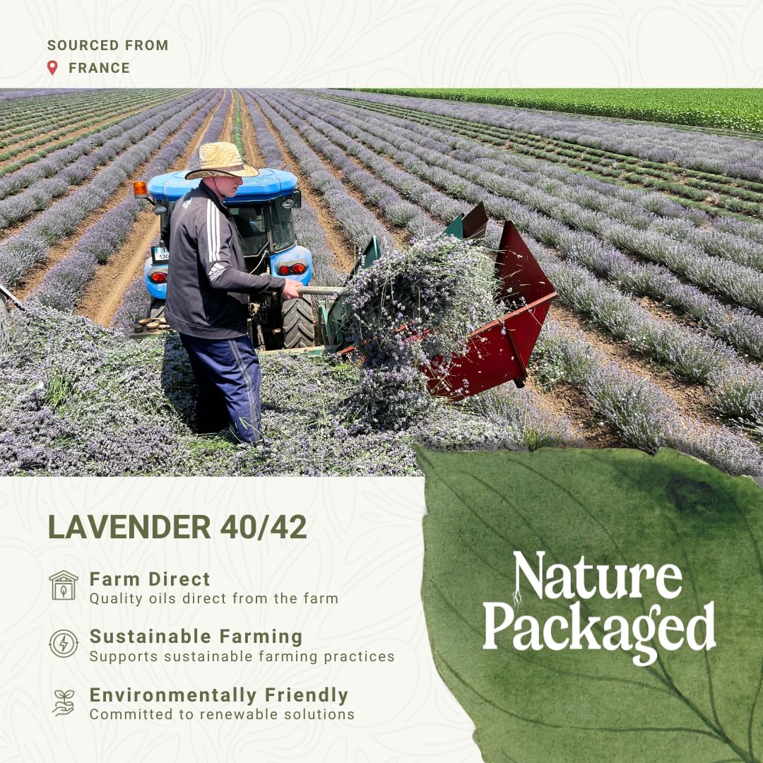 Nature Packaged Lavanda 40/42: crea un ambiente calmante en espacios