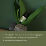 Estimula la concentración con Lemon Myrtle de Nature Packaged durante el trabajo