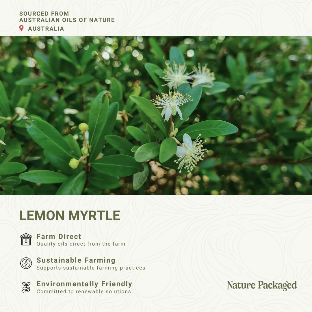 Aroma de Nature Packaged Lemon Myrtle para masajes y relajación