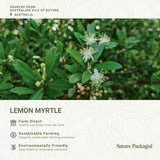 Aroma de Nature Packaged Lemon Myrtle para masajes y relajación