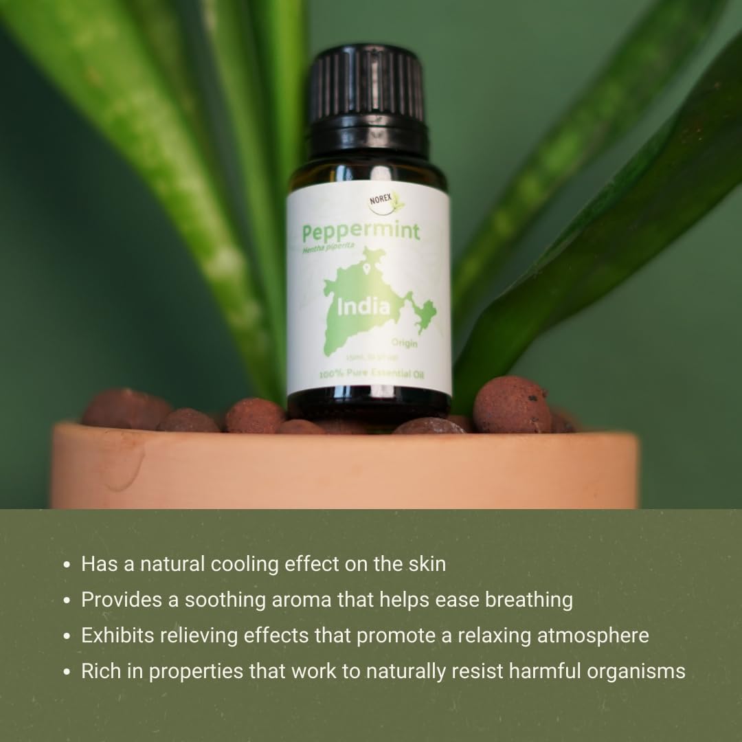Nature Packaged Menta usos DIY, difusor y masaje