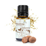 Nature Packaged Nuez Moscada: botella de aceite esencial, aroma cálido para difusores