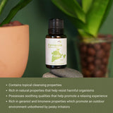 Velas aromáticas para perfumar ambientes con notas florales.