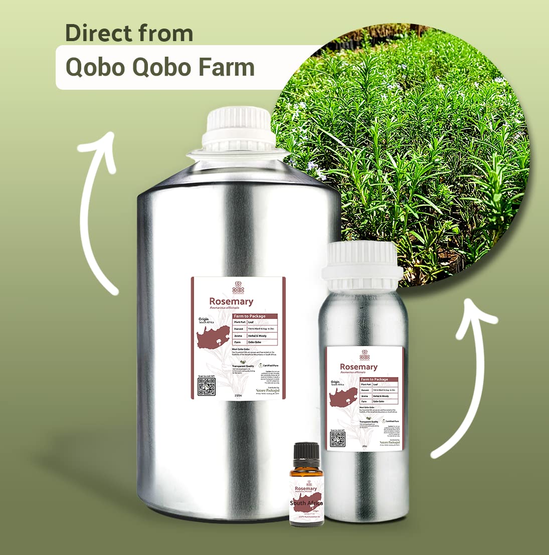 Nature Packaged Romero para masajes y formulaciones relajantes.