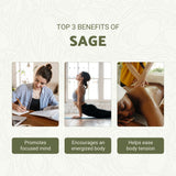 Nature Packaged Sage: proceso de destilación al vapor que conserva los compuestos aromáticos.