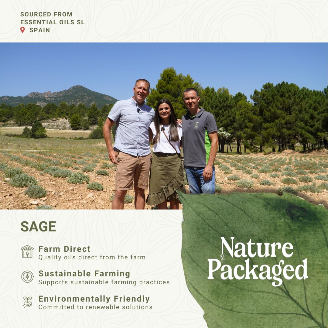 Nature Packaged Sage: aroma suave para difusor que purifica el aire y mejora la concentración.