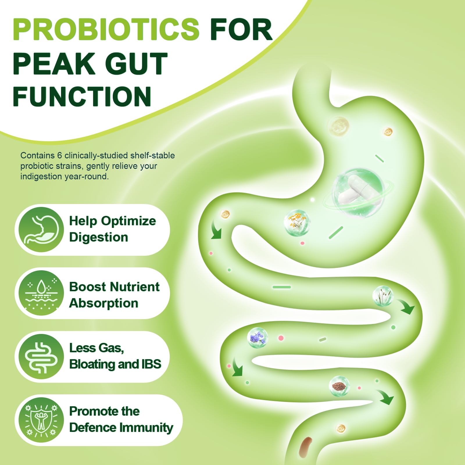 NATURE TARGET ingredientes-fibra psyllium favorecen la regularidad intestinal.