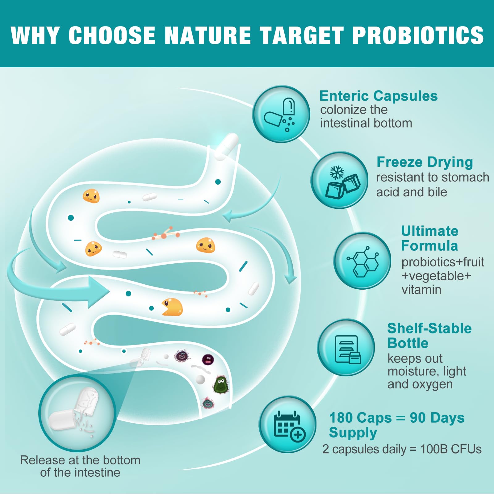 Nature Target Probiotics cápsulas entericas para resistir el ácido estomacal.