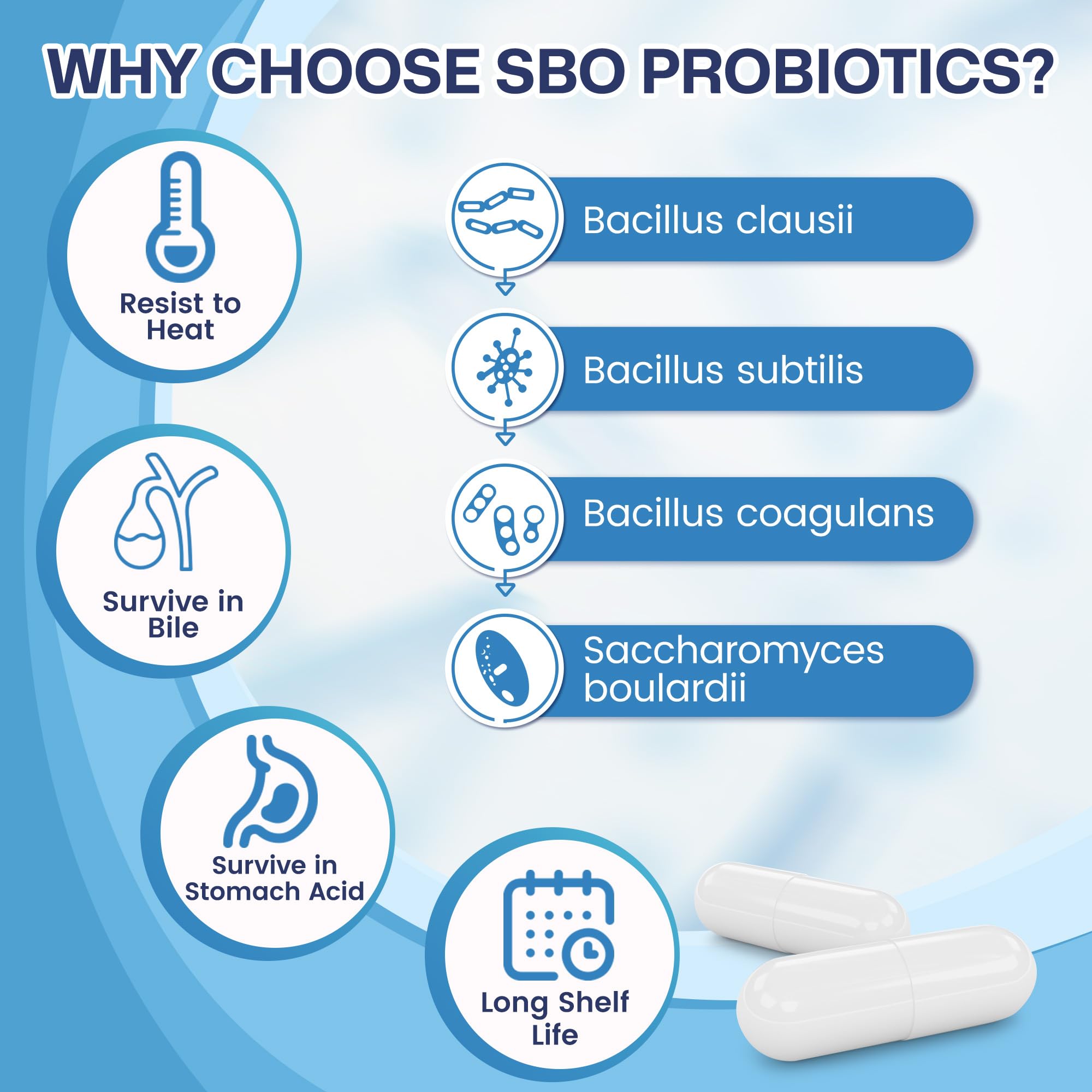 NATURE TARGET Probiotics, mezcla de prebióticos, favorece crecimiento de bacterias beneficiosas.