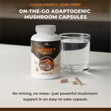 Naturealm Sacred 7, cordyceps para apoyo a la vitalidad cotidiana.