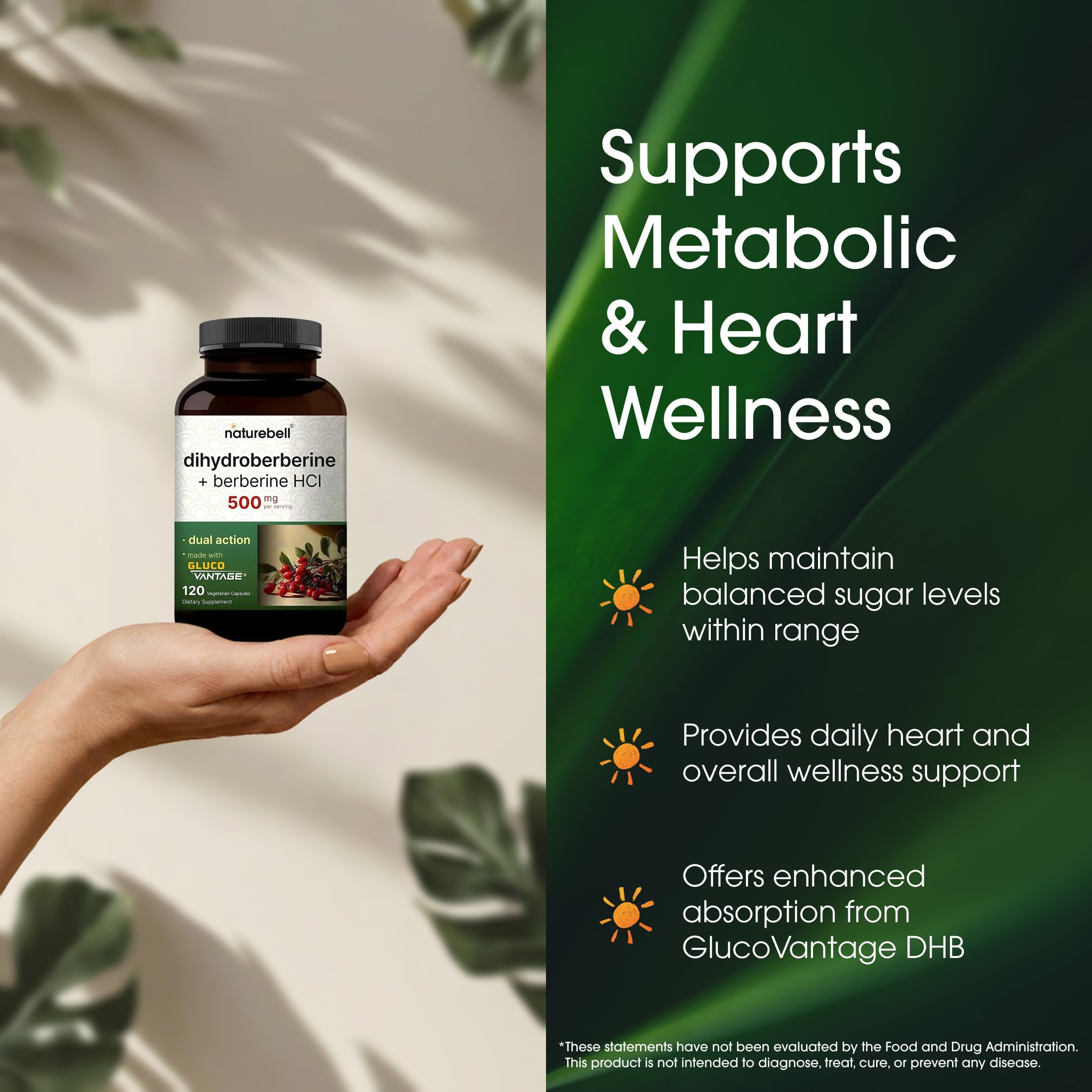 NatureBell Berberis aristata, raíz extracto, ingrediente vegetal puro.