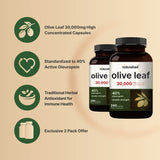 NatureBell cápsulas de hoja de oliva, 480 cápsulas, suministro para meses.