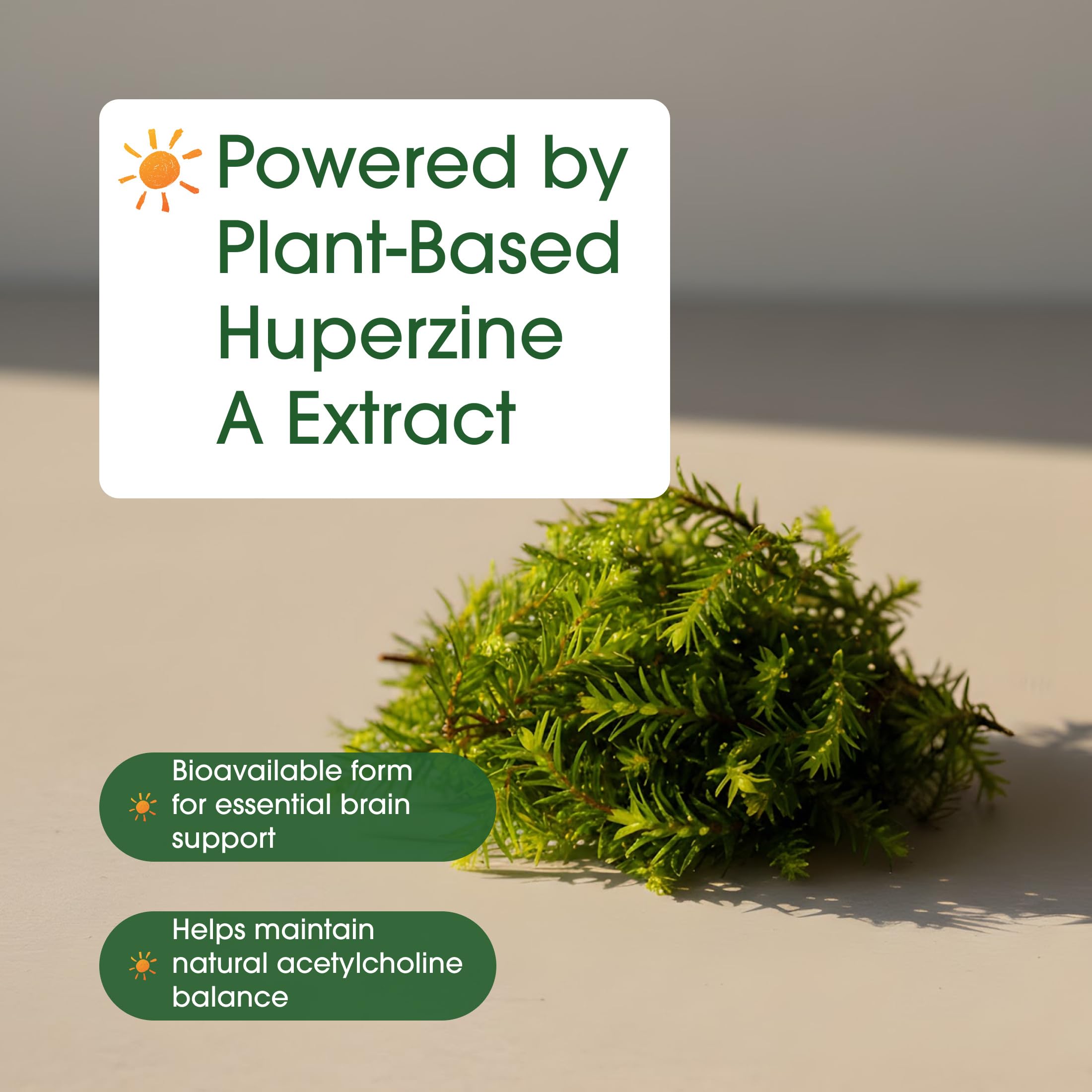 NatureBell Huperzine A ingredientes clave resaltados para una fórmula basada en plantas.