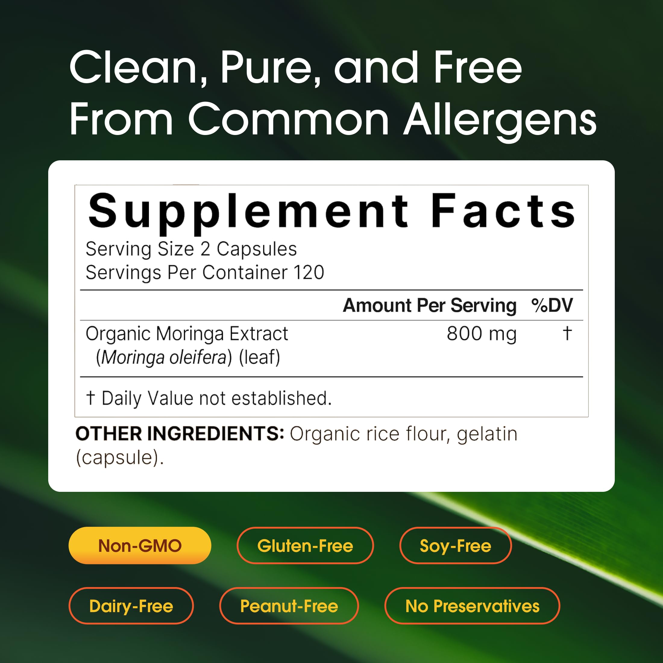 NatureBell Moringa: hojas frescas destacan ingredientes vegetales de calidad.