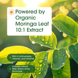 NatureBell Moringa: ingrediente natural antioxidante para bienestar diario.