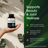 Probiòticos en NatureBell Multi Collagen: equilibrio intestinal potencial