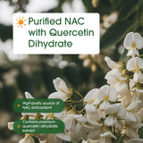NatureBell NAC 1200 mg con quercetina - interior de cápsulas, formato vegetariano