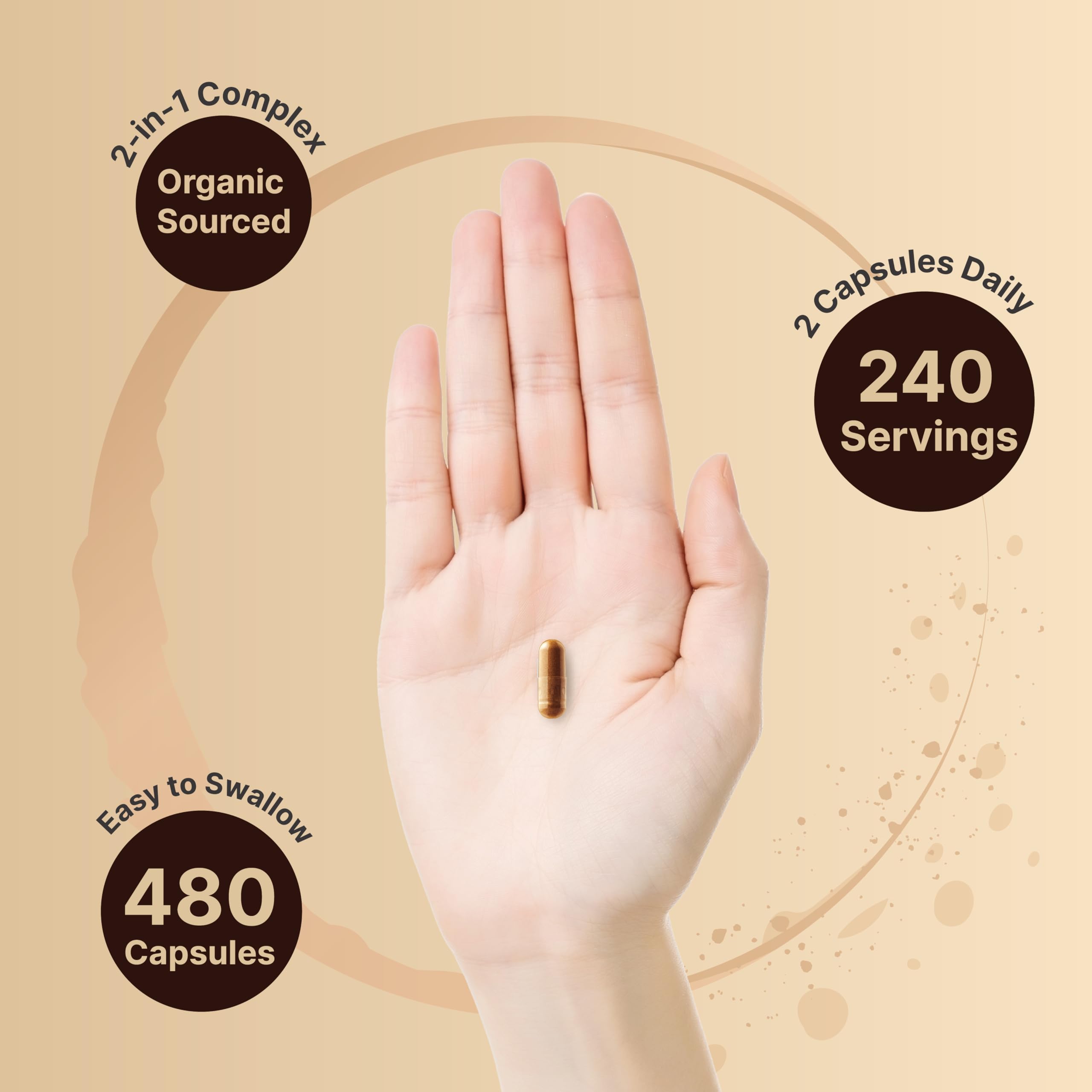 NatureBell origen canela Ceilán orgánica, ingrediente clave en las cápsulas.