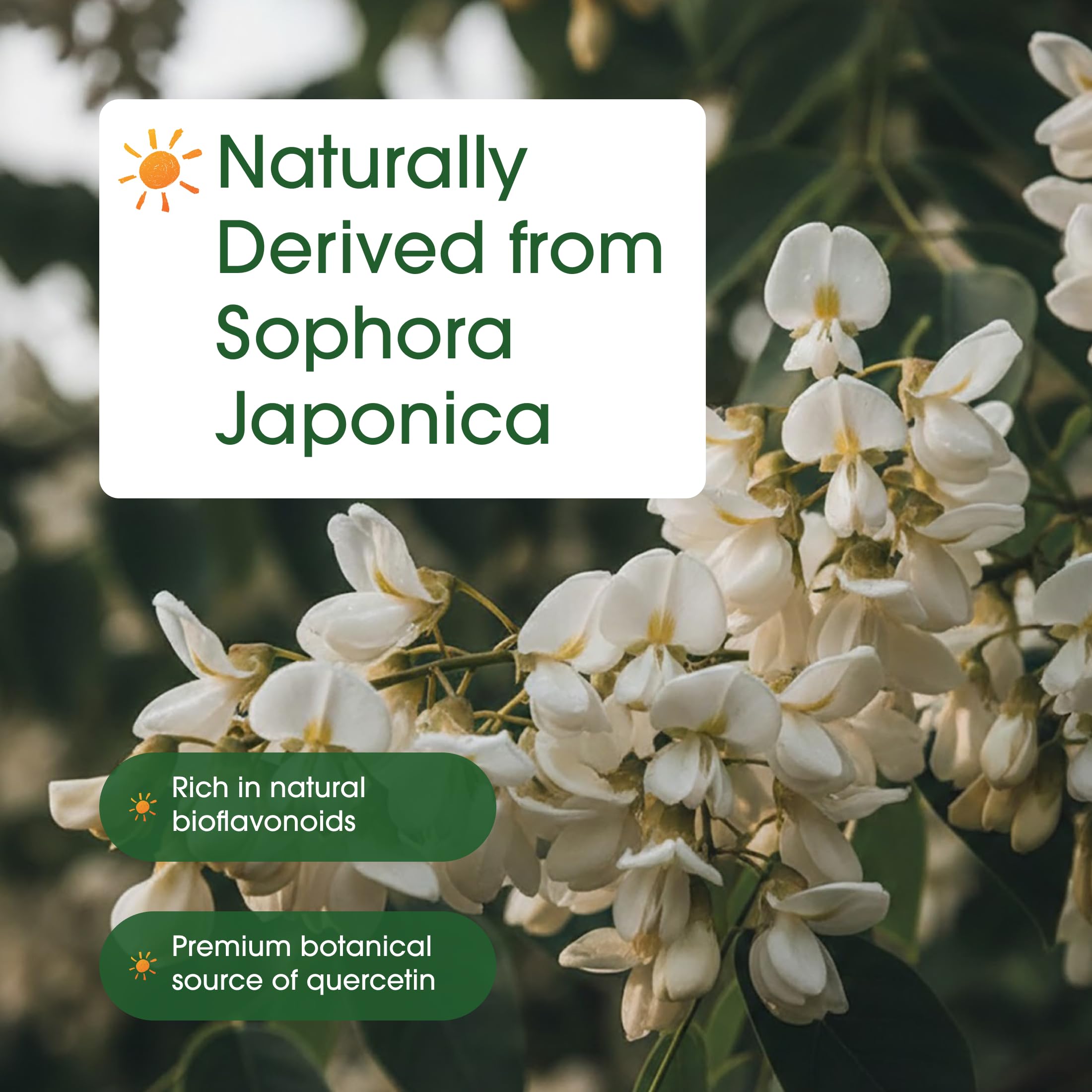NatureBell Quercetina, libre de soja, para dietas sin alérgenos.