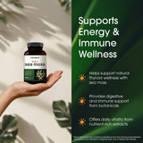 NatureBell probada por terceros, seguridad y transparencia sin gluten.