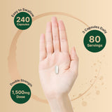 NatureBell TMG ofrece energía natural para entrenos y trabajo.