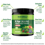 NATURELO Bote de 240 g, envase práctico para batidos.