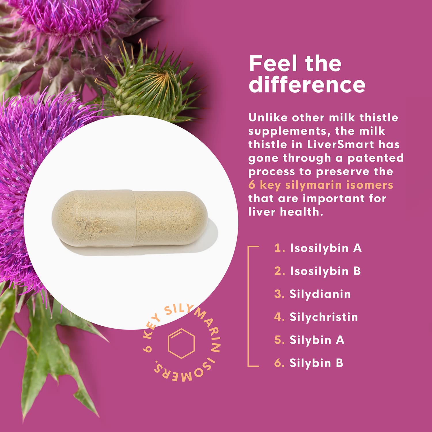 Naturenetics cardo mariano: empaque en caja para almacenamiento cómodo