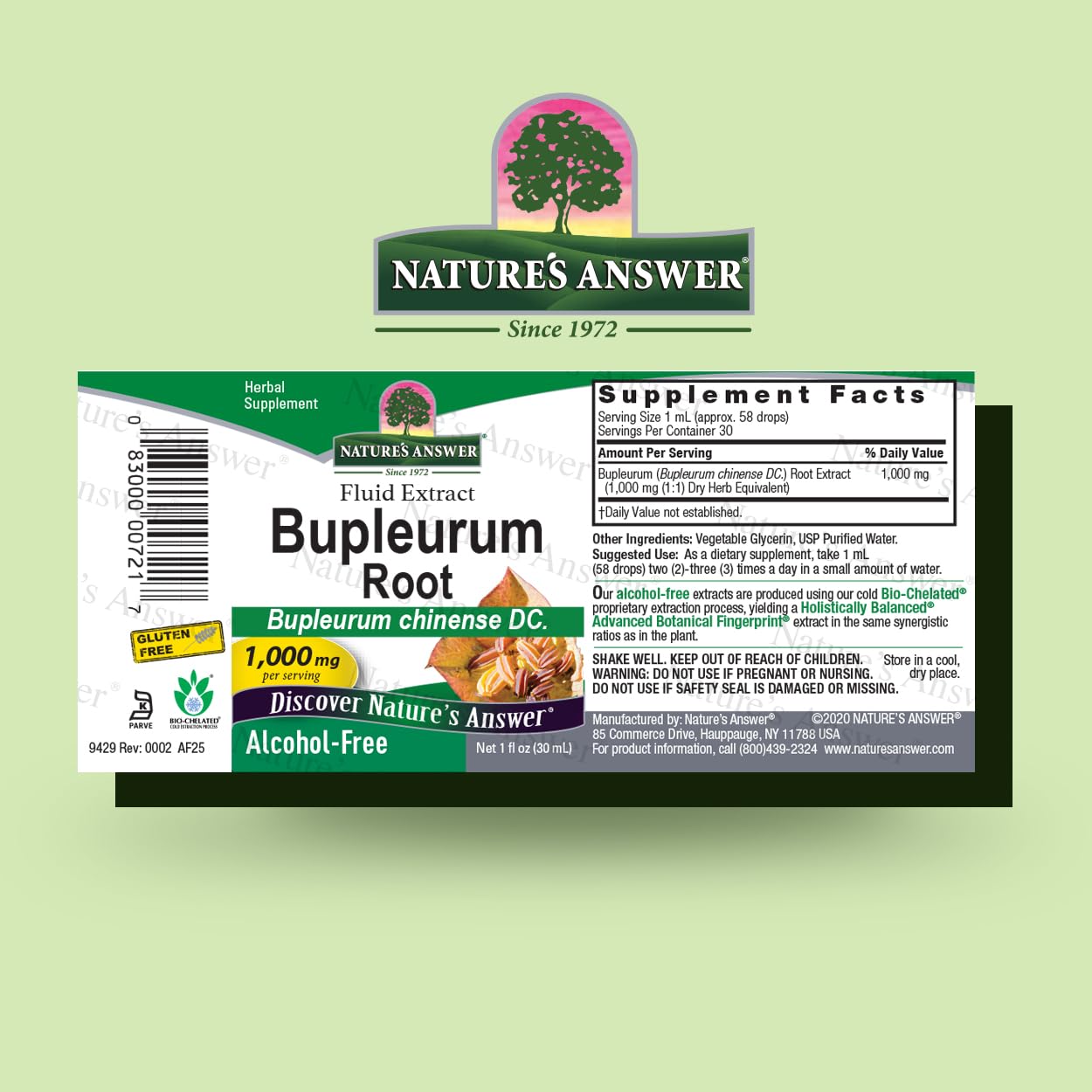 Nature's Answer Bupleurum Planta ornamental: planta con hojas en hoz y flores verde-amarillas