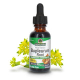 Nature's Answer Bupleurum Raíz Chinense: raíz natural para uso herbal