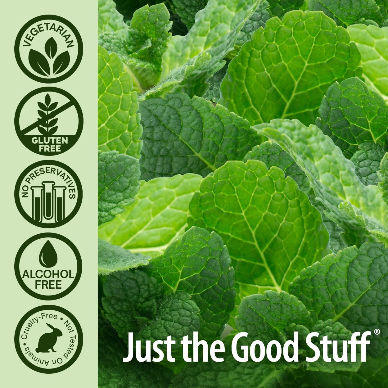 Nature's Answer Periobrite Cool Mint hojas de menta para frescura natural.