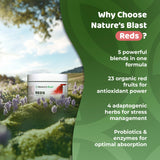 NATURES BLAST Reds, adaptógenos suaves para equilibrio y vitalidad.