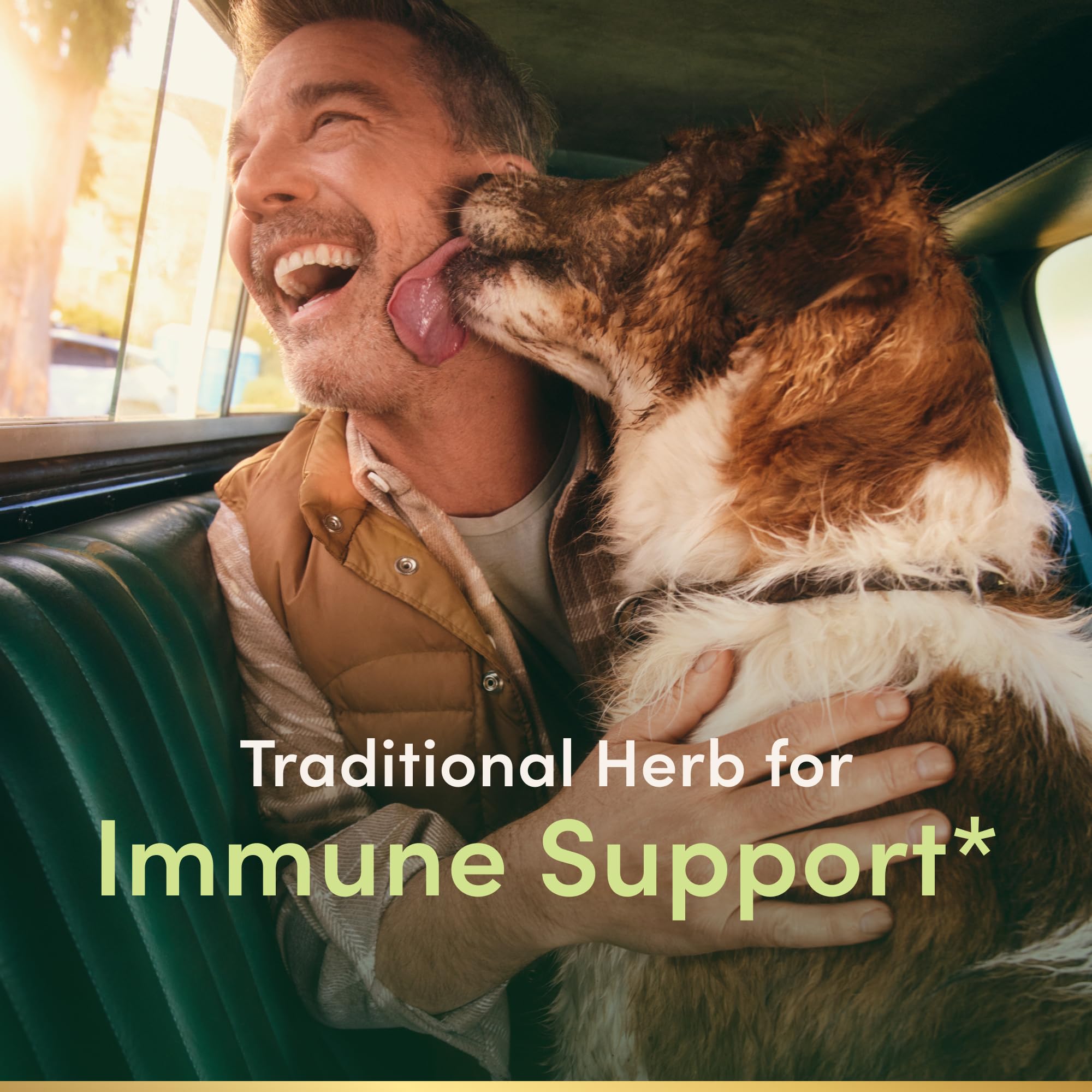 Nature's Bounty Sambucus cápsulas de 630 mg listas para consumo diario