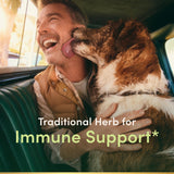 Nature's Bounty Sambucus cápsulas de 630 mg listas para consumo diario