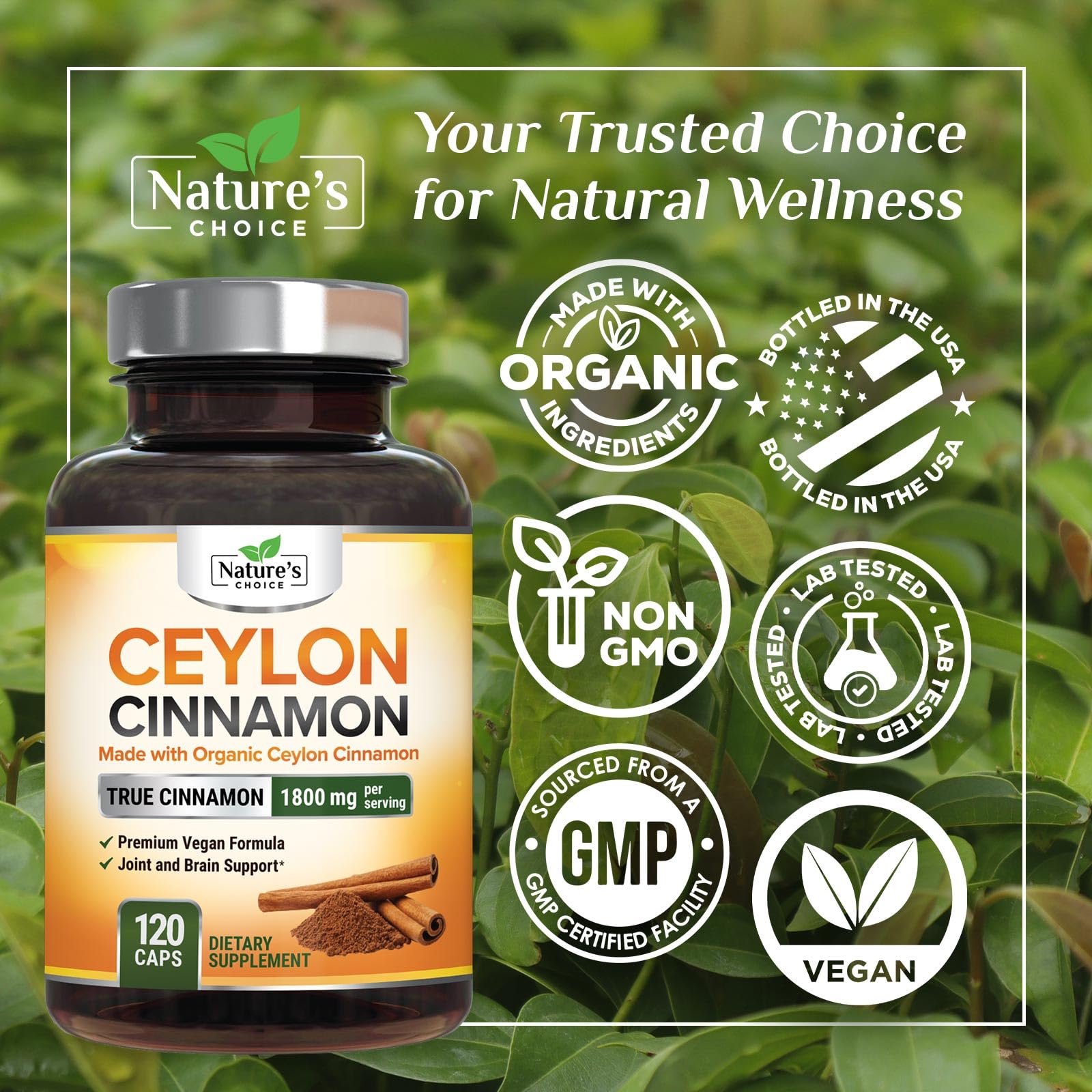 Nature's Choice botella con formato estadounidense: suplemento de canela para bienestar diario.