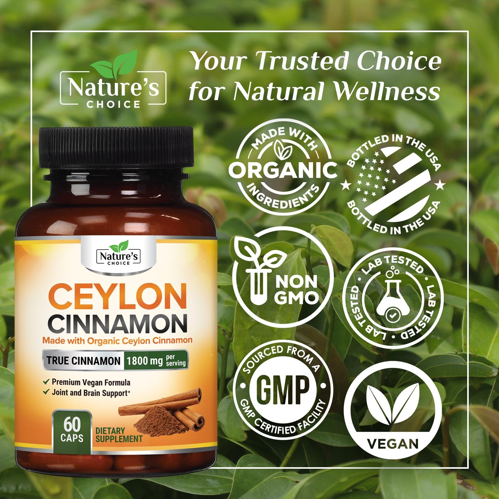 Nature's Choice Canela Ceilan orgánica 1800 mg textura en polvo de alta pureza.