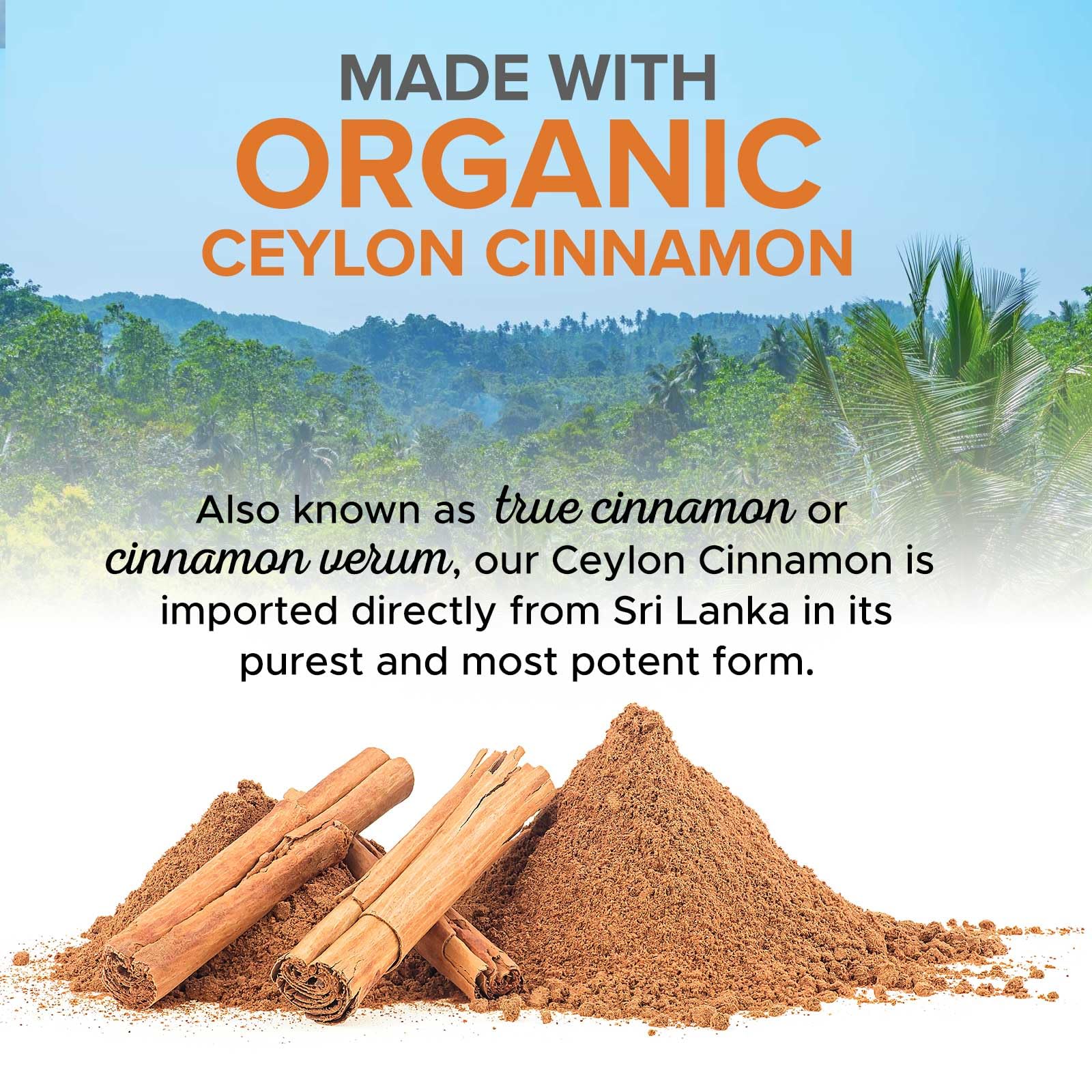 Nature's Choice canela Ceilan Sri Lanka: polvo orgánico en cápsulas veganas.