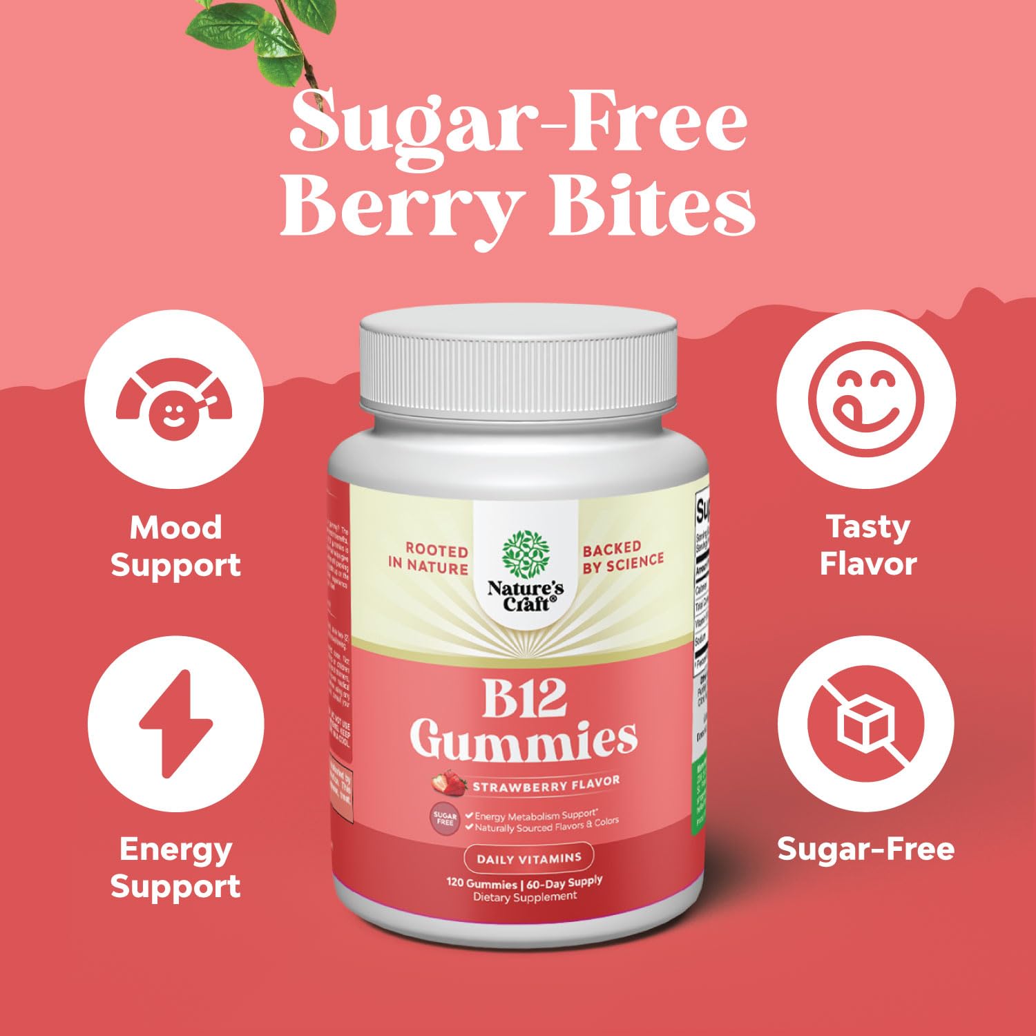 Gomitas B12 de Natures Craft en bolsa, práctico snack de bienestar.