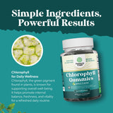 Gominolas de clorofila Natures Craft, aptas sin gluten.