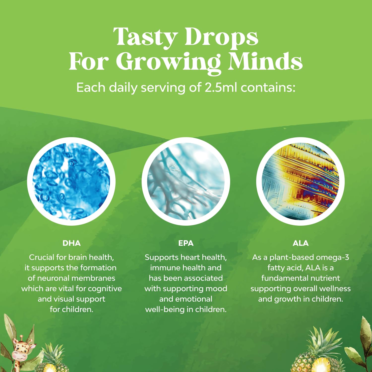 Nature's Craft gotas DHA para niños, tapa fácil de usar.