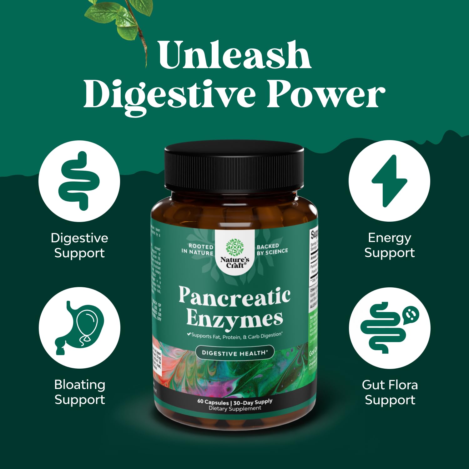 Natures Craft Pancreatin amilasa, lipasa y proteasa para carbohidratos, grasas y proteínas